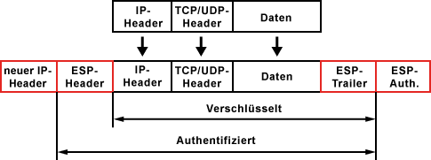 ESP.gif