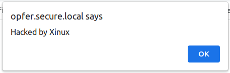 Cross-Site-Scripting-Reflected-14.png