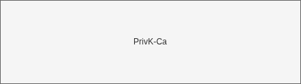 drawio: TLS CA PrivK drawio: TLS CA PrivK