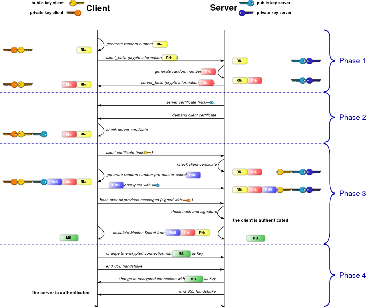 Tls-31.png