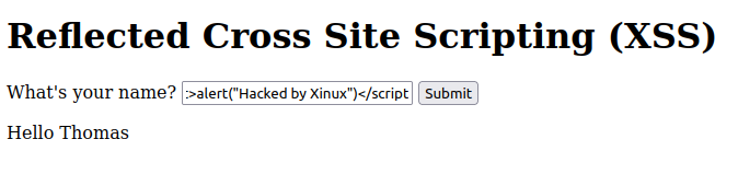 Cross-Site-Scripting-Reflected-13.png