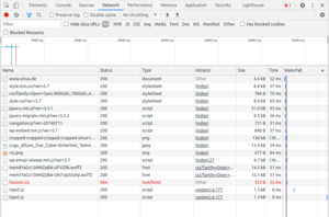Browserconsole-network.png