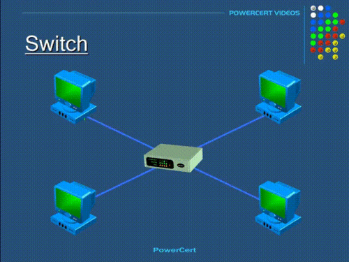 Switch2.gif