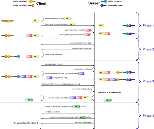 Tls-31.png