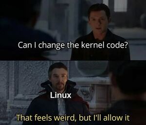 Kernel-meme.png